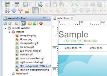 this website builder supports file management