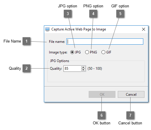 Capture Active Web Page to Image Dialog