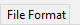 16. File Format tab