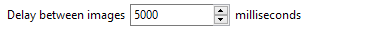 4. Delay between images