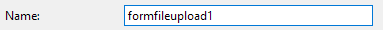 1. File Upload Field Name