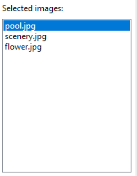 4. List of selected images.