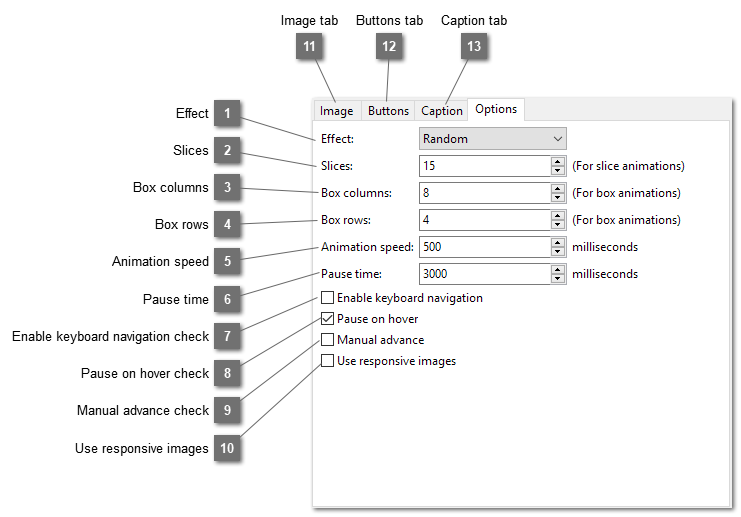 Nivo Slider Options tab