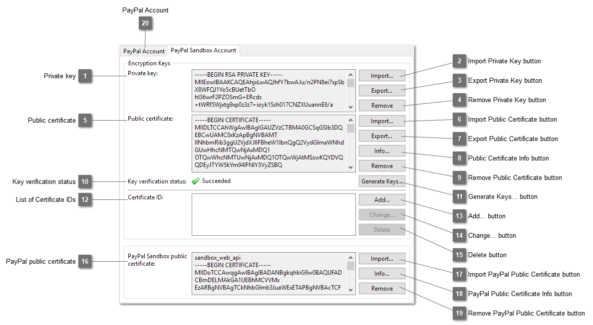 PayPal Sandbox Account tab