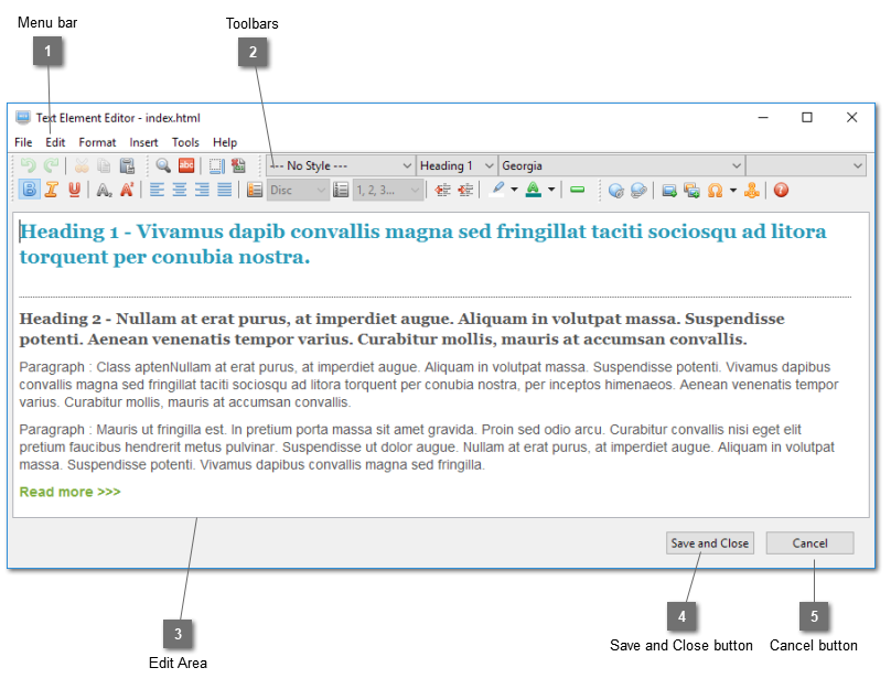 Text Element Editor