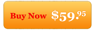 Buy Website Realizer