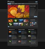 Website Template 17