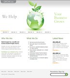 Website Template 32