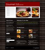 Website Template 41