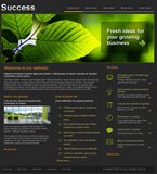 Website Template 5